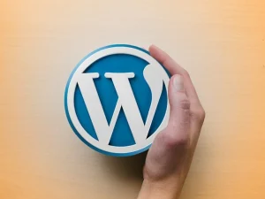 WordPress-Online-Course---WordPress-Tutorials-for-Advance-User